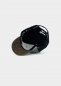 Preview: Cap "Steiner" - grau (Curved)